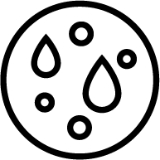 noee-ikonka-3